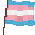 Trans Flag